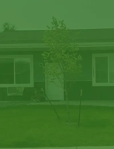Barrett Home